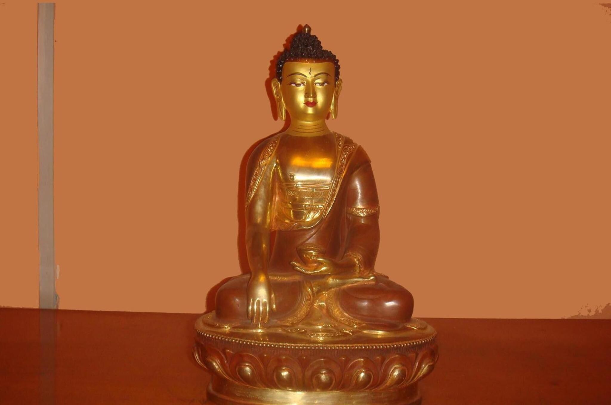 Foto - Hotel Hana Pvt.Ltd