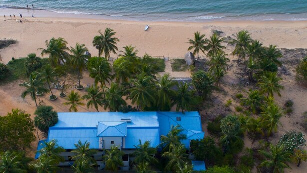 An aerial view of a beach with a blue-roofed building surrounded by palm trees. - Wellé Wadiya (Kudawa)