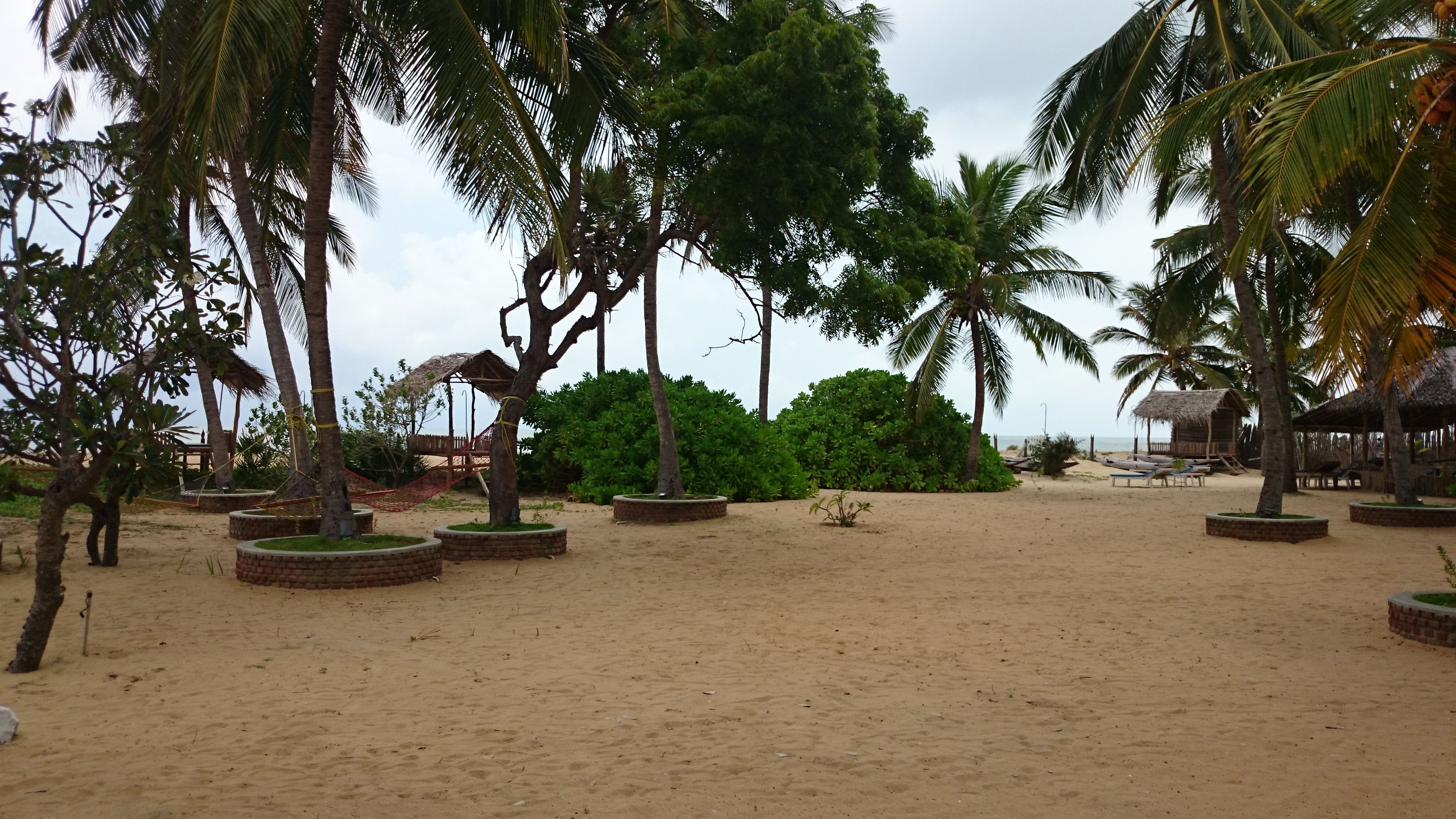 A sandy beach area with palm trees and thatched-roof structures.