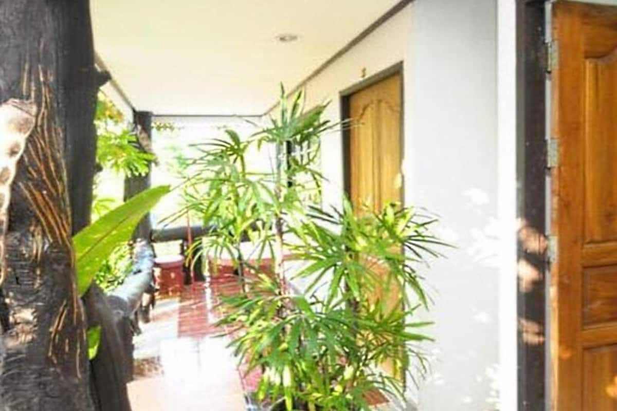 A corridor with a wooden door, potted plants, and a tree trunk.