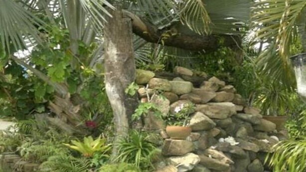A garden with a stone wall, palm trees, and various plants. - Ruan Mai Sang Ngam Resort (Sa Khu)