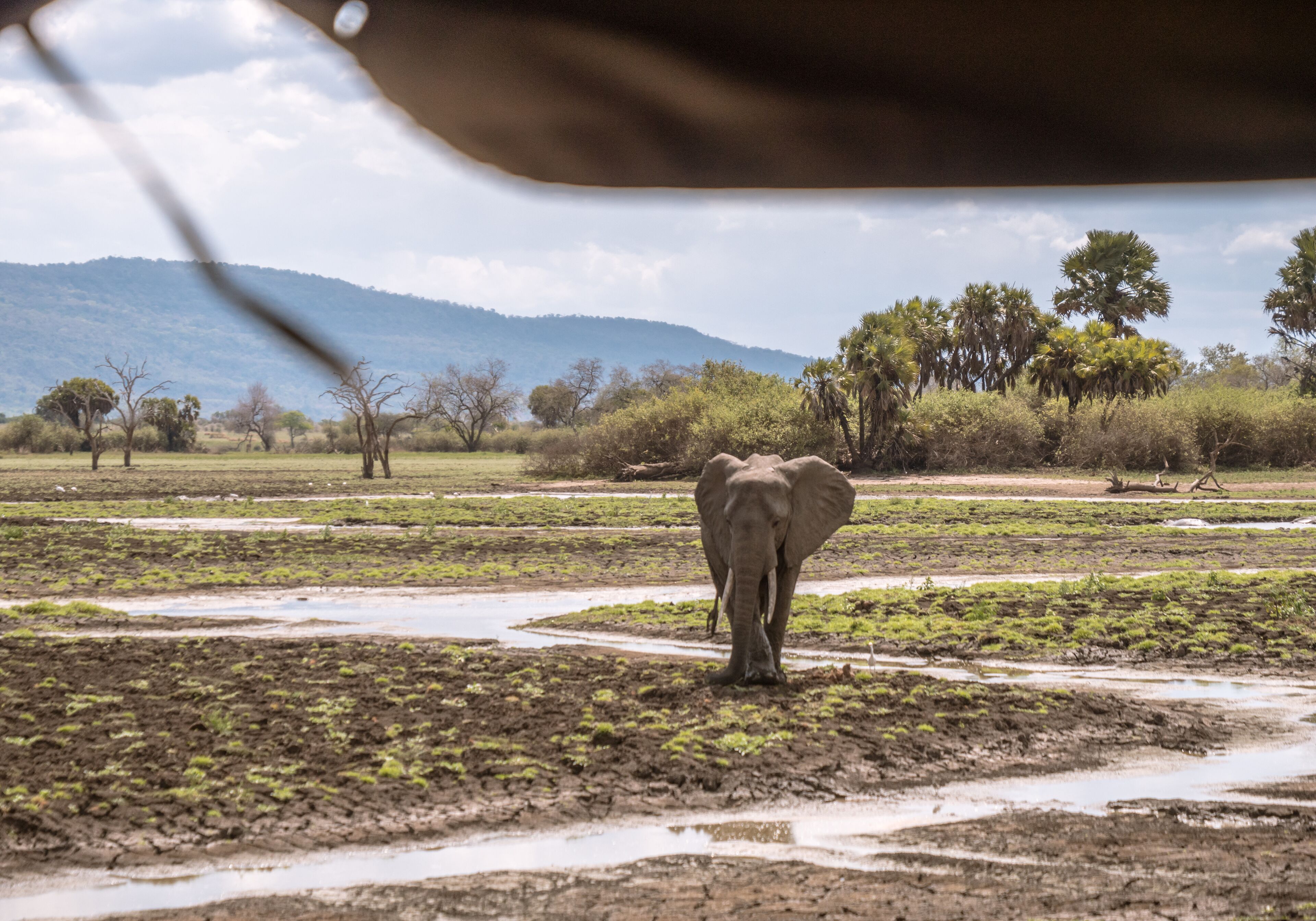 Foto - Kiwengwa Beach Resort