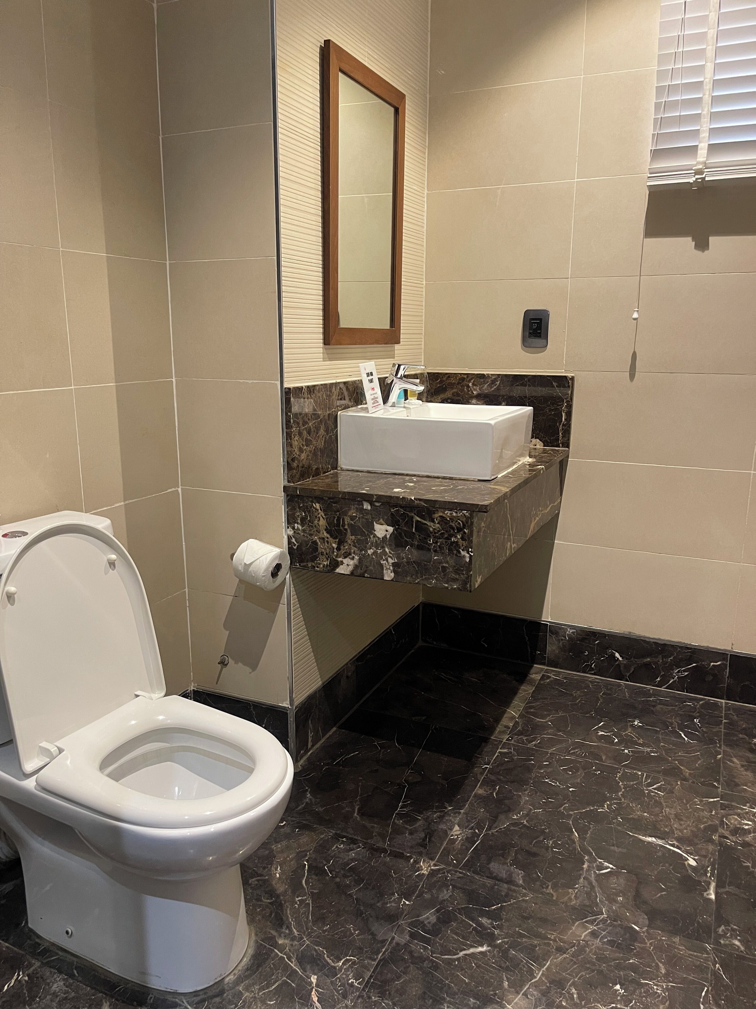 A bathroom with a toilet, a sink with a marble countertop, and a mirror on the wall.