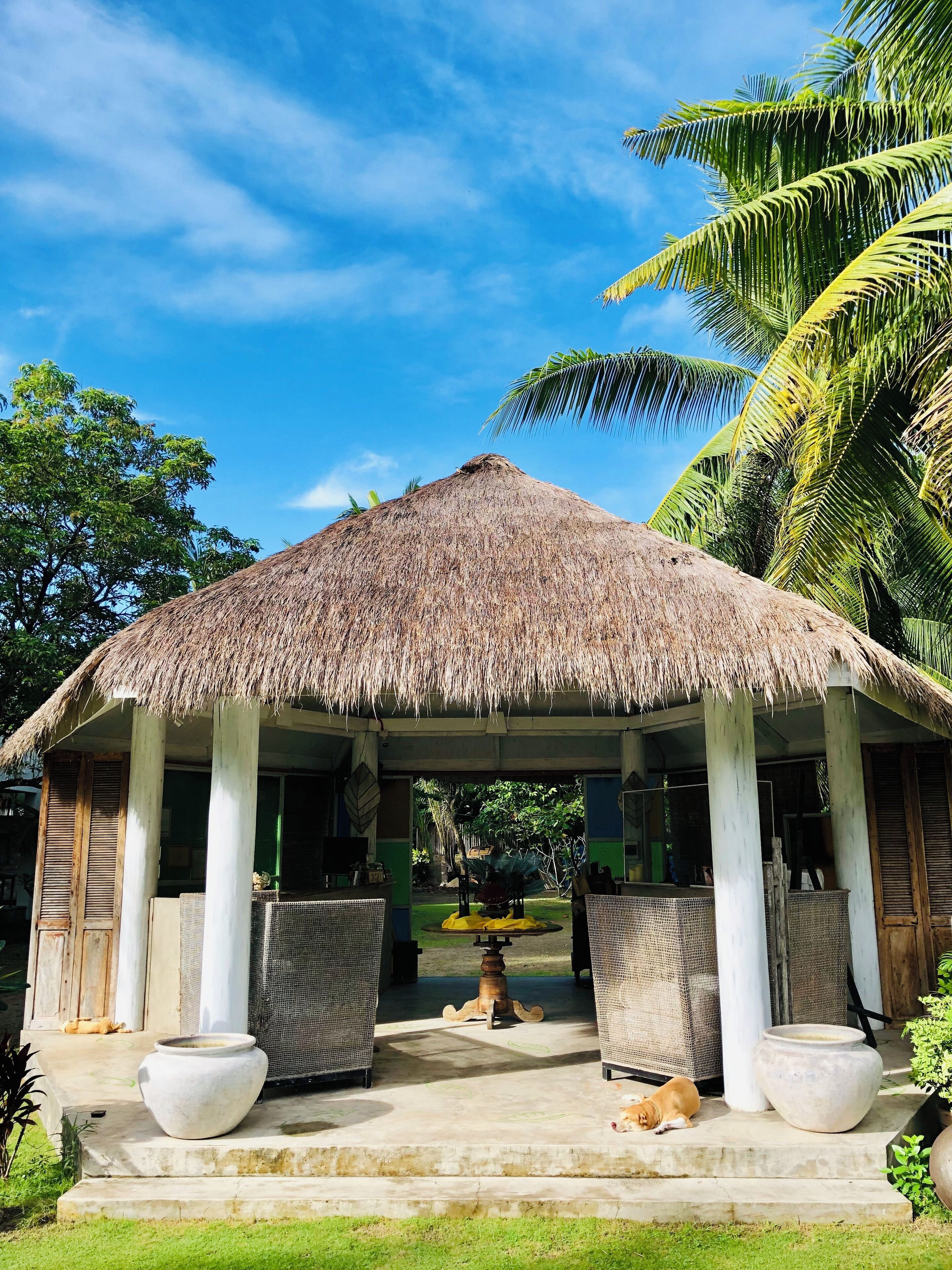 A thatched-roof structure with a covered seating area, surrounded by greenery and palm trees.