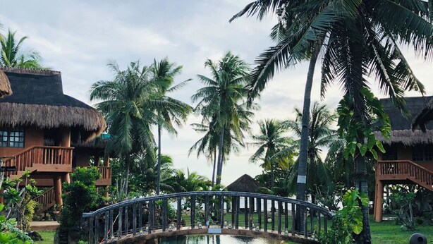 A pool with a bridge, surrounded by palm trees and thatched-roof buildings. - Hoyohoy Villas (Santa Fe)