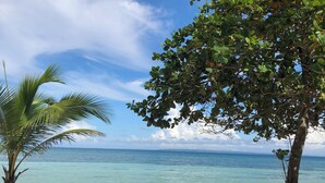 A beach view with a bench under a tree, clear sky, and calm sea. - Hoyohoy Villas (Santa Fe)