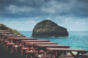 供應早餐、午餐和晚餐，當地料理