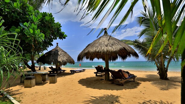 A beach with thatched umbrellas, lounge chairs, and a clear view of the ocean. - Sea Rock Villa (Induruwa)