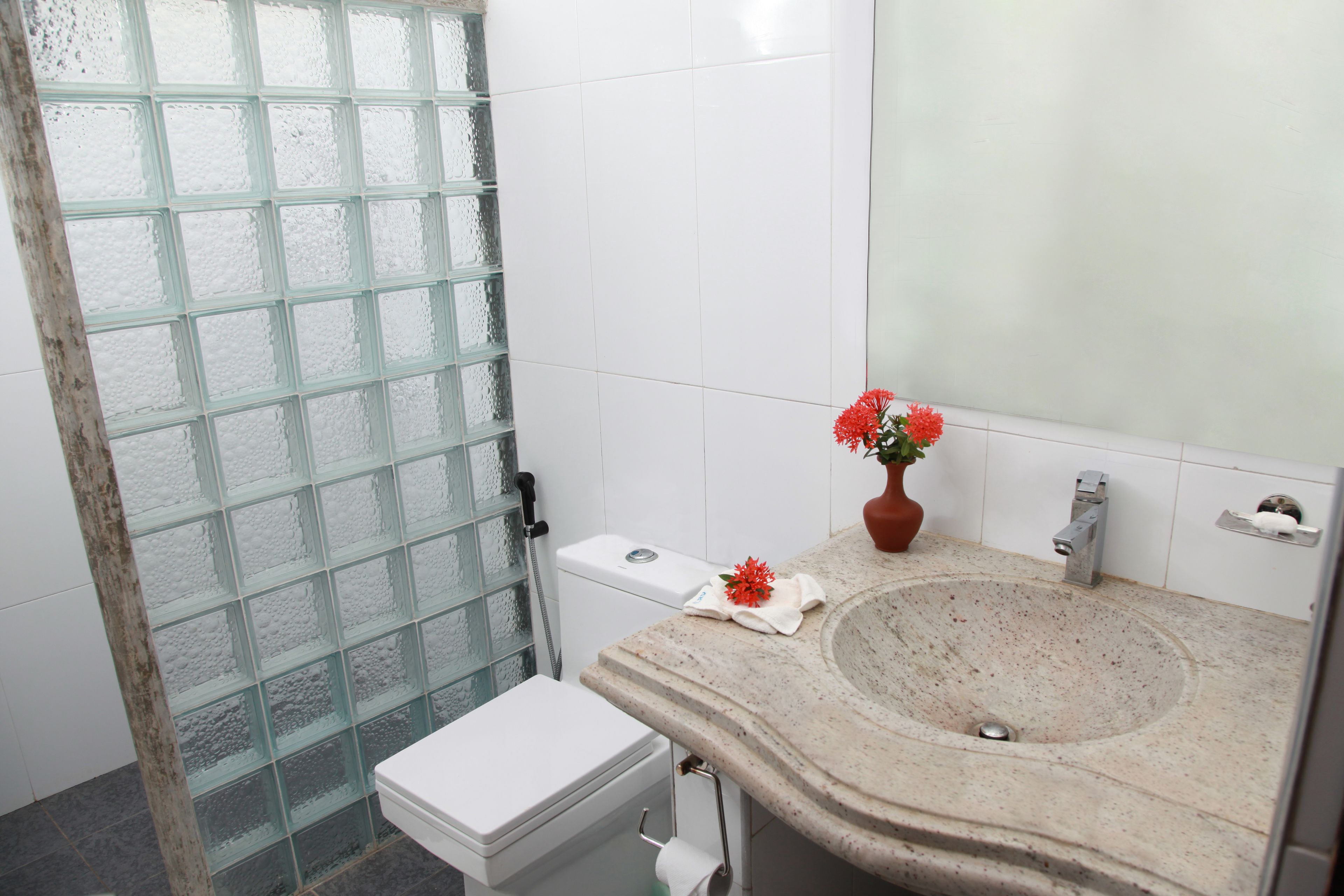 A bathroom with a glass shower enclosure, a white toilet, a sink with a marble countertop, and a potted plant with red flowers.