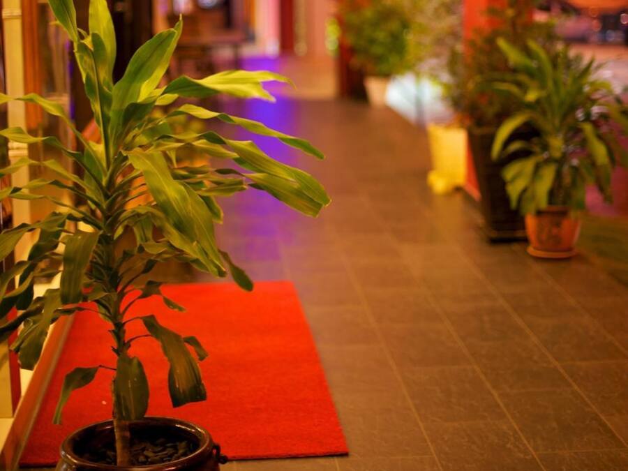 A corridor with potted plants, a red mat, and a wooden floor.