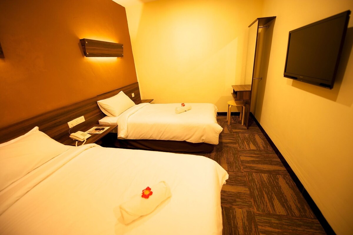 Iron/ironing board (on request), WiFi (free), bed sheets