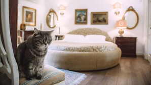 A room with a cat on a chair, a round bed, a dresser, and wall-mounted lamps. - B&B Triskéles (Agrigento)