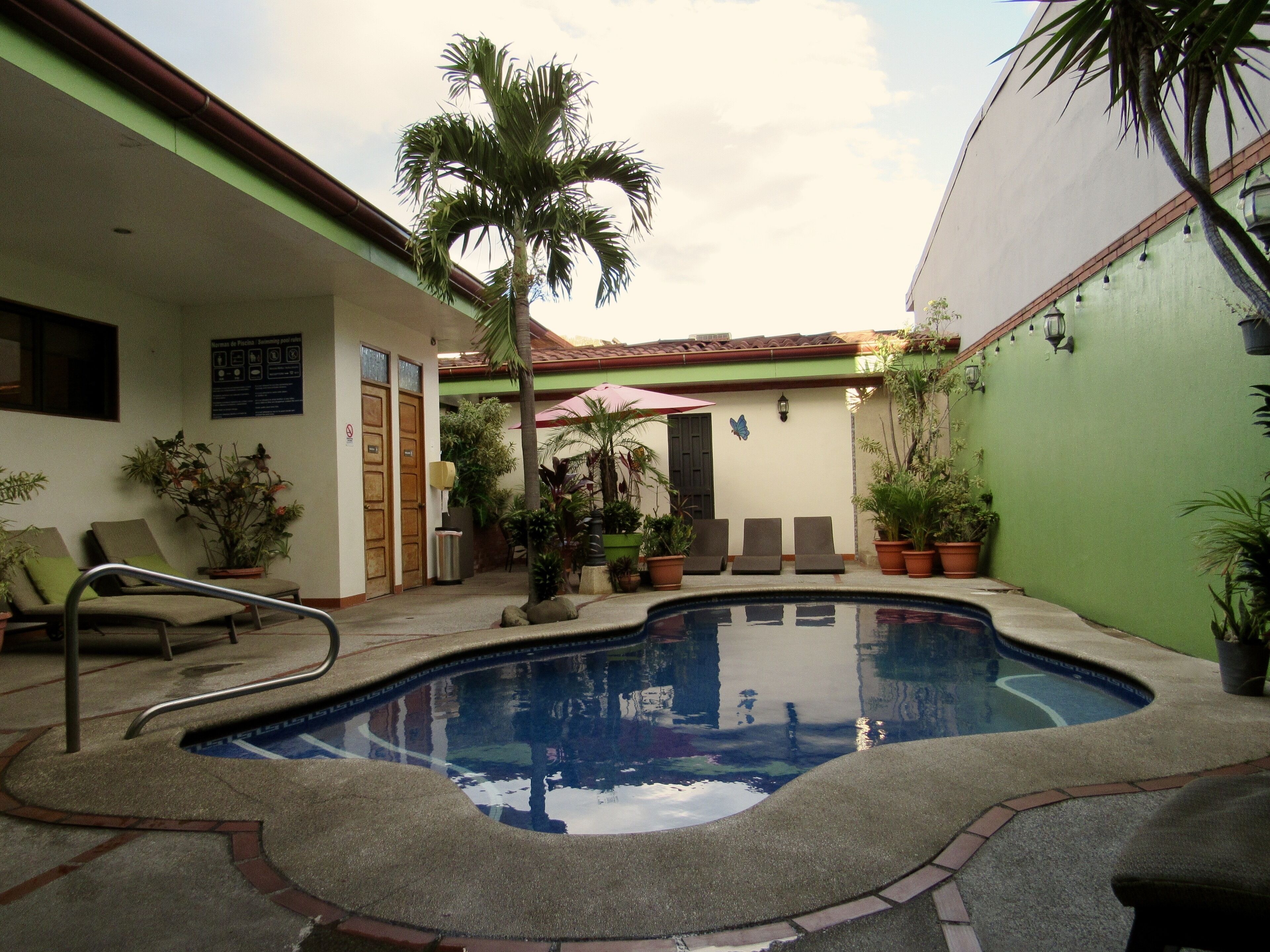 A swimming pool with lounge chairs, potted plants, and a palm tree.