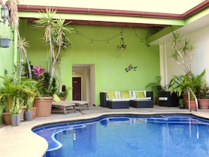 Outdoor pool, sun loungers