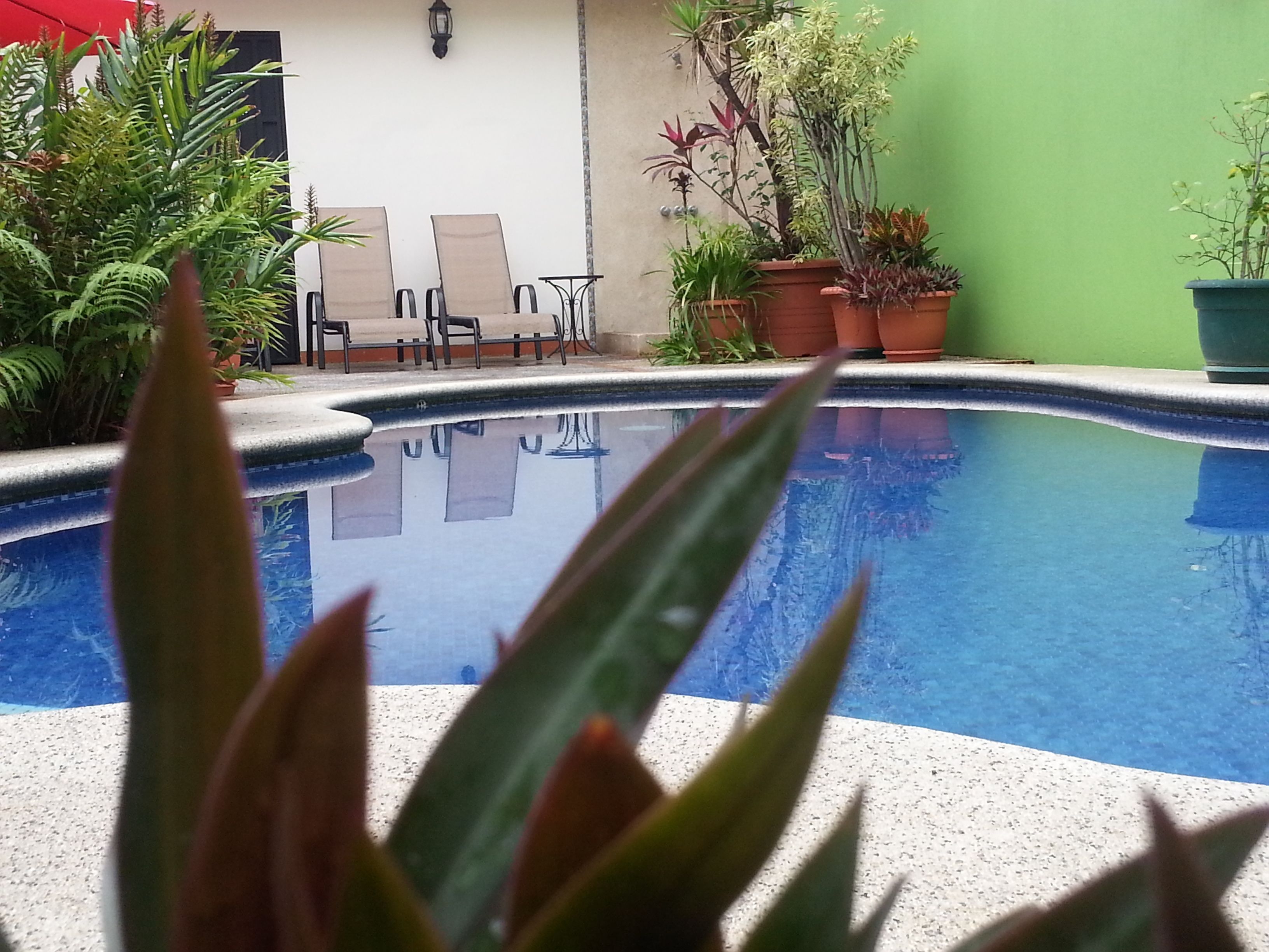 A swimming pool with a tiled edge, surrounded by potted plants and outdoor furniture.