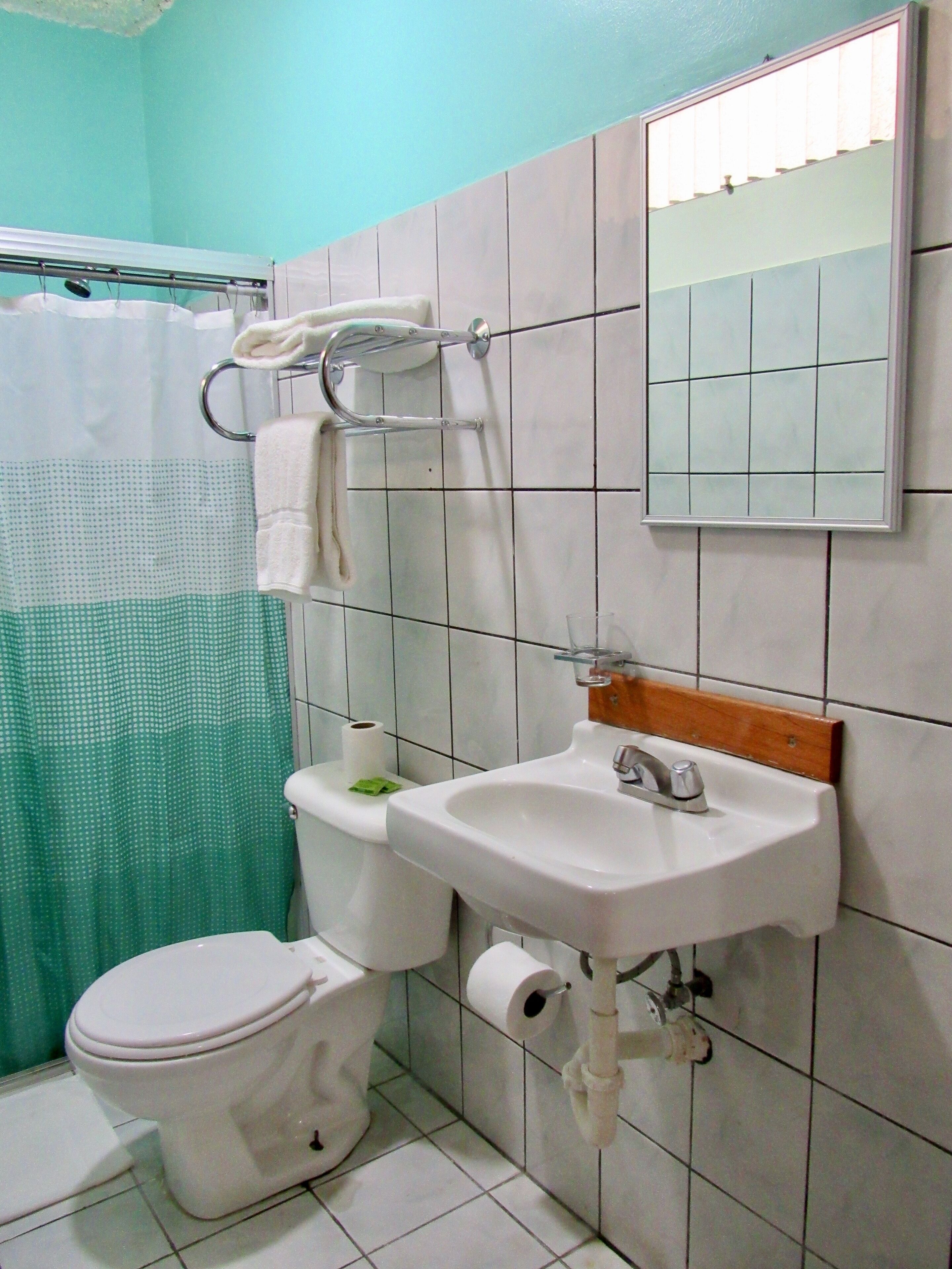 A bathroom with a toilet, sink, and mirror.