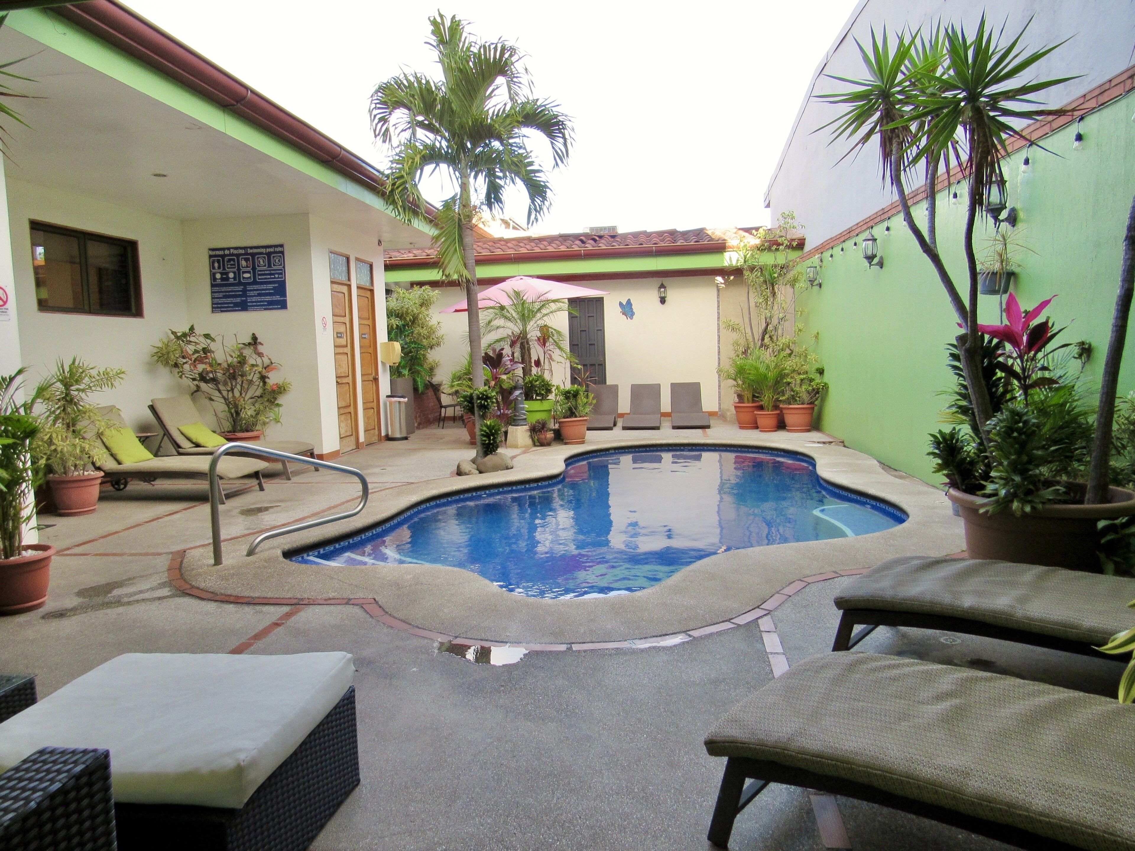 Un área de piscina con sillas de descanso, una piscina pequeña y plantas en macetas.