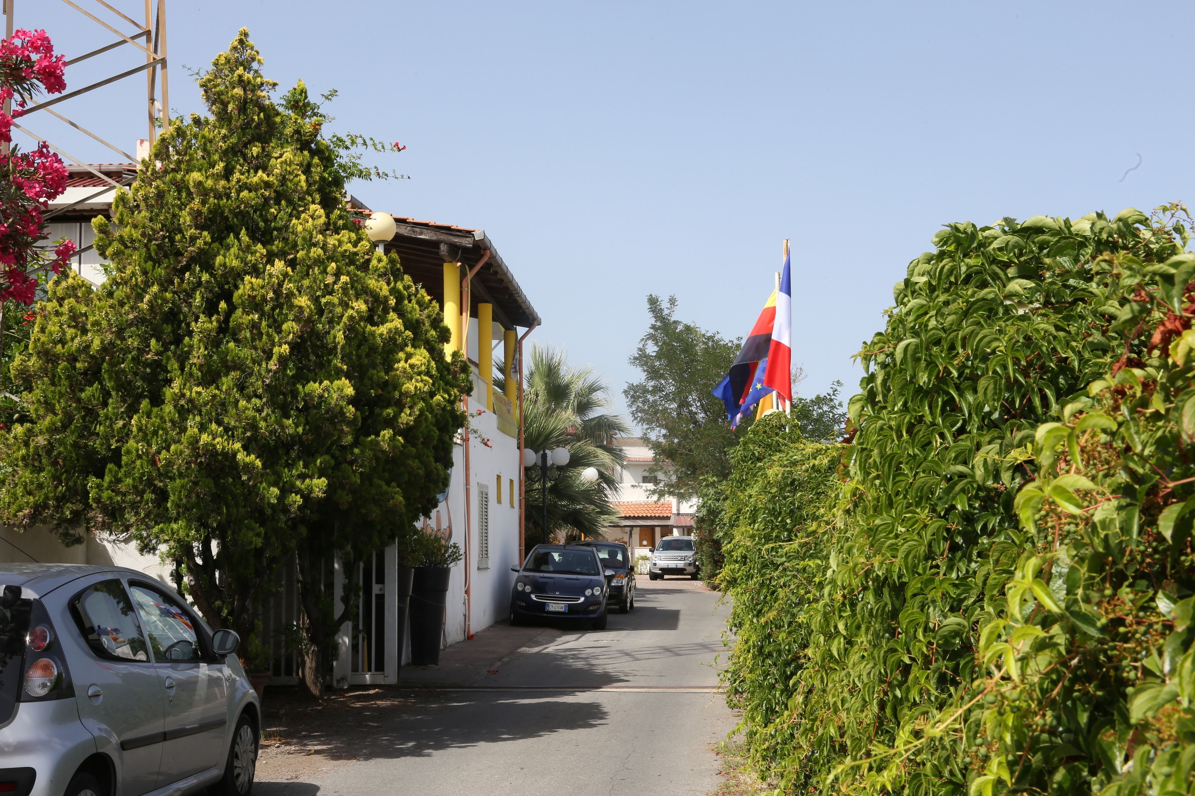 A narrow street with parked cars, a flag, and lush greenery.