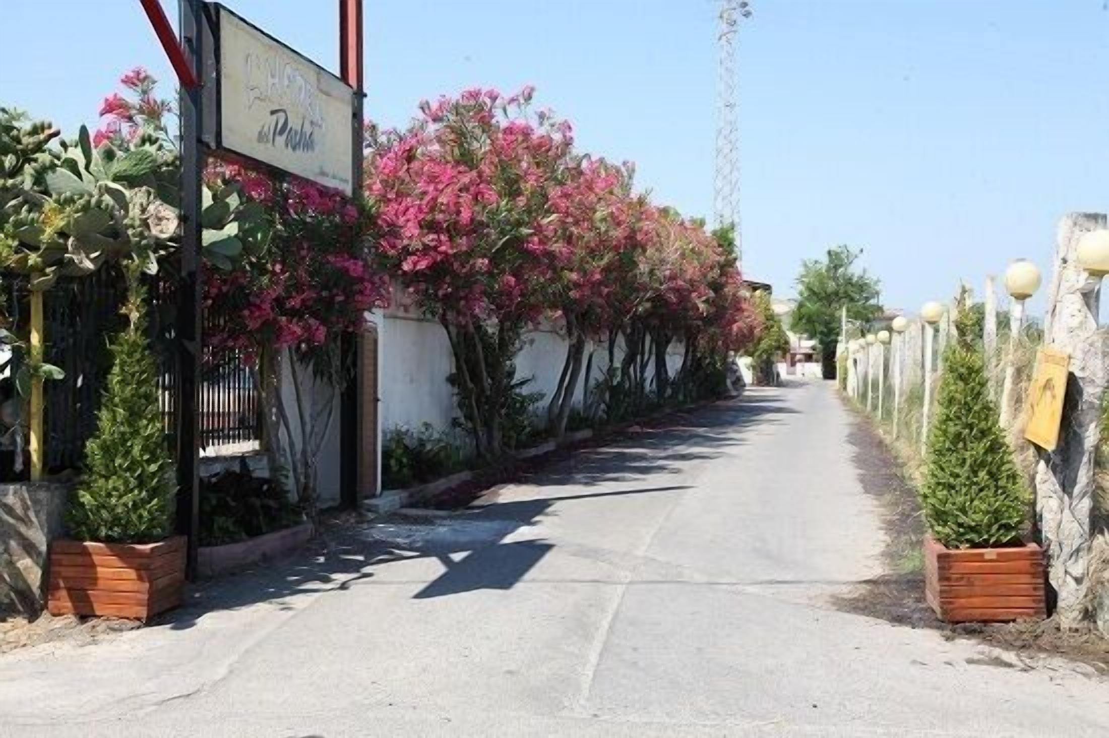 Un carrer amb bugenviles roses i plantes en testos, que condueix a un edifici amb un rètol que diu "Hotel del Prado".
