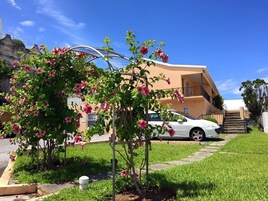 Área da propriedade