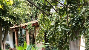 A garden with a paved walkway, a green bench, and various plants. - Inn Galerias Hotel (Aguascalientes)