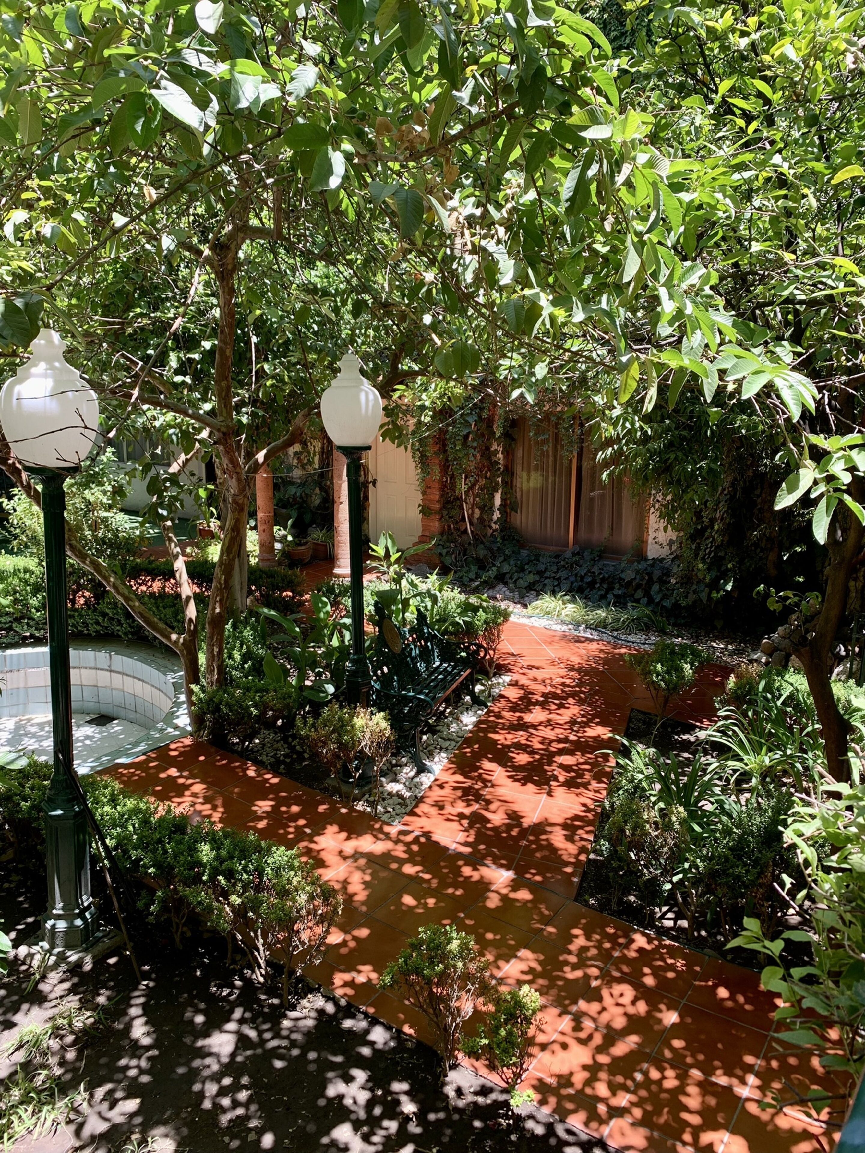 A garden pathway with a water feature, surrounded by lush greenery and a brick wall.