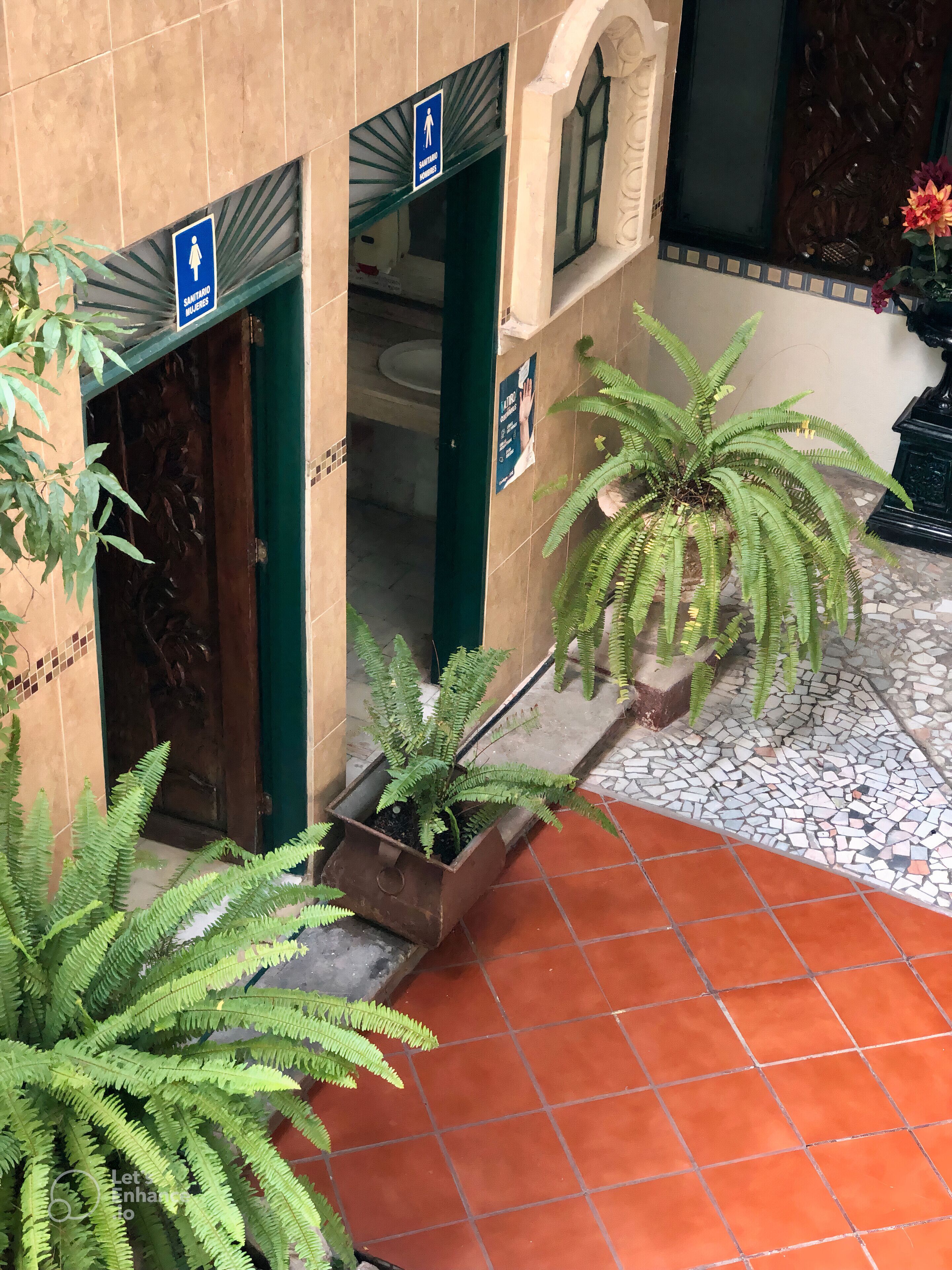 A building entrance with a sign indicating a women's restroom, a tiled floor, and potted ferns.