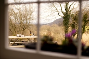 Vista desde la propiedad