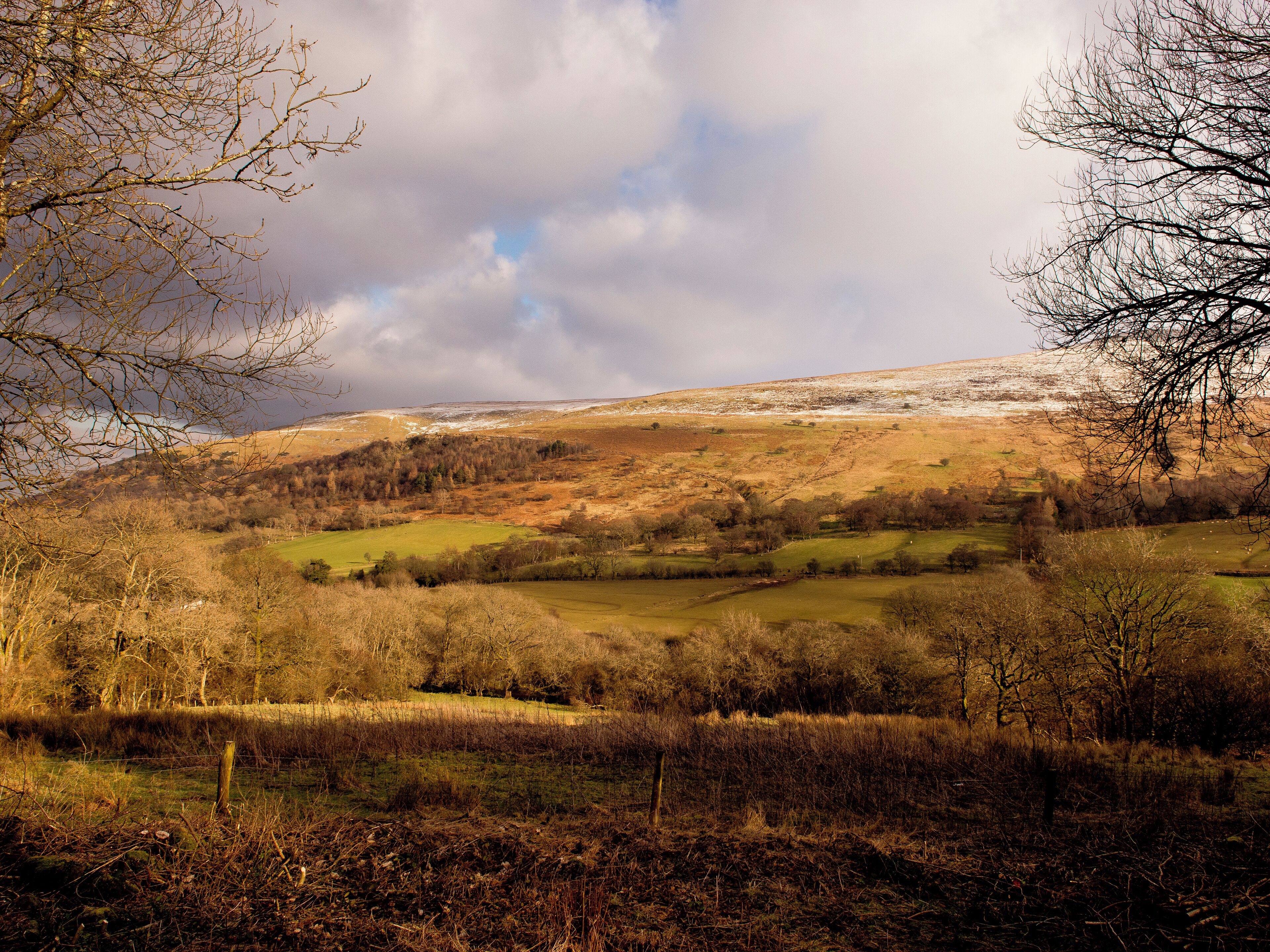 A rural landscape with rolling hills, sparse trees, and a fence line.