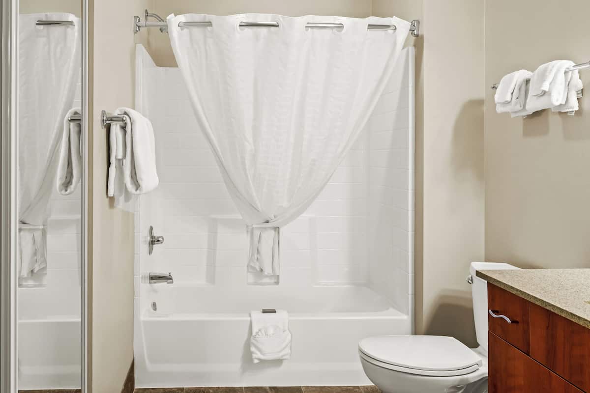 combined shower/bathtub, free toiletries, towels