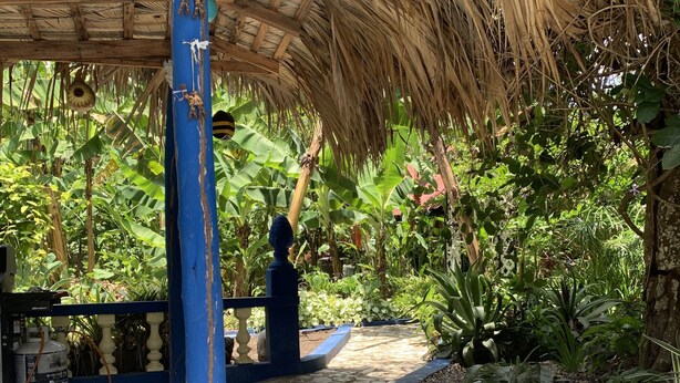 Exterior - Sana El Jardin Secreto (Tamboril)