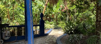 Sana El Jardin Secreto