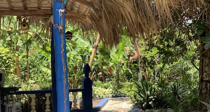 Sana El Jardin Secreto