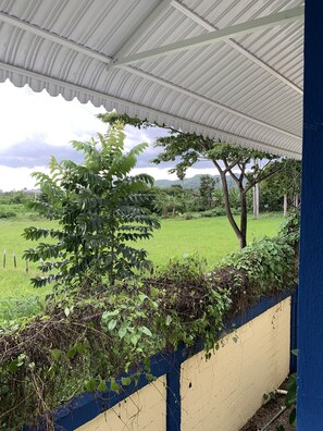 8 bedrooms, premium bedding, individually decorated