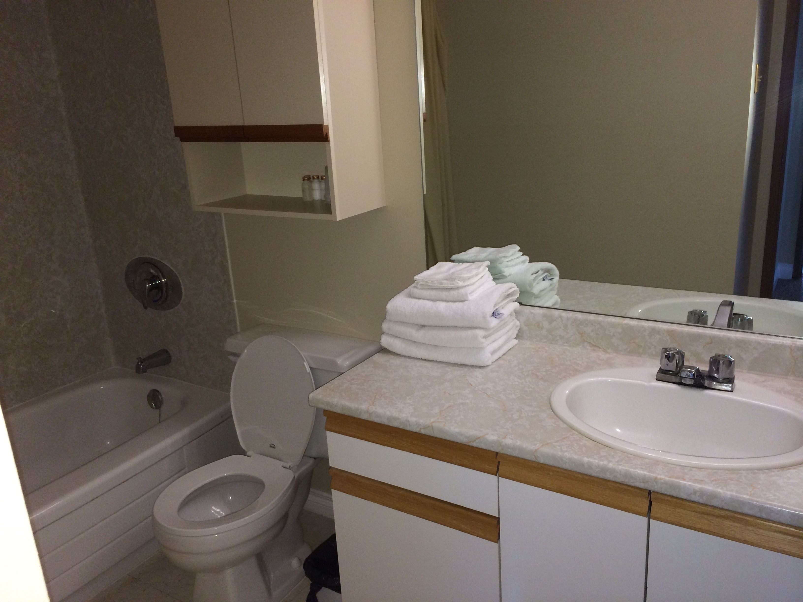 apartment, 2 bedrooms, kitchen, lake view | bathroom | combined shower/bathtub, deep-soaking bathtub, free toiletries
