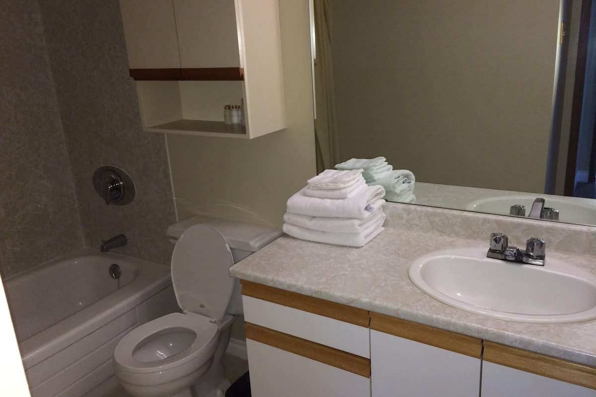 apartment, 2 bedrooms, kitchen, lake view | bathroom | combined shower/bathtub, deep-soaking bathtub, free toiletries
