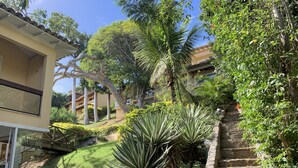 Zona residencial con una escalera de piedra, un edificio amarillo y abundante vegetación, incluyendo palmeras y plantas de agave.