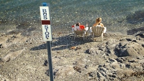 A bus stop sign on a rocky beach with two people sitting at a table. - Inlet Beach House B&B (Sidney)