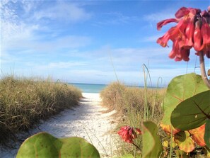 Beach nearby, white sand, sun-loungers, beach umbrellas - Siesta Key Inn (Siesta Key)