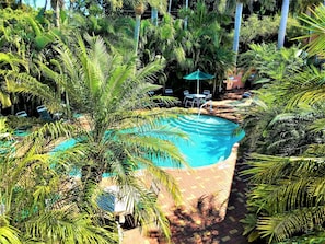 Pool - Siesta Key Inn (Siesta Key)