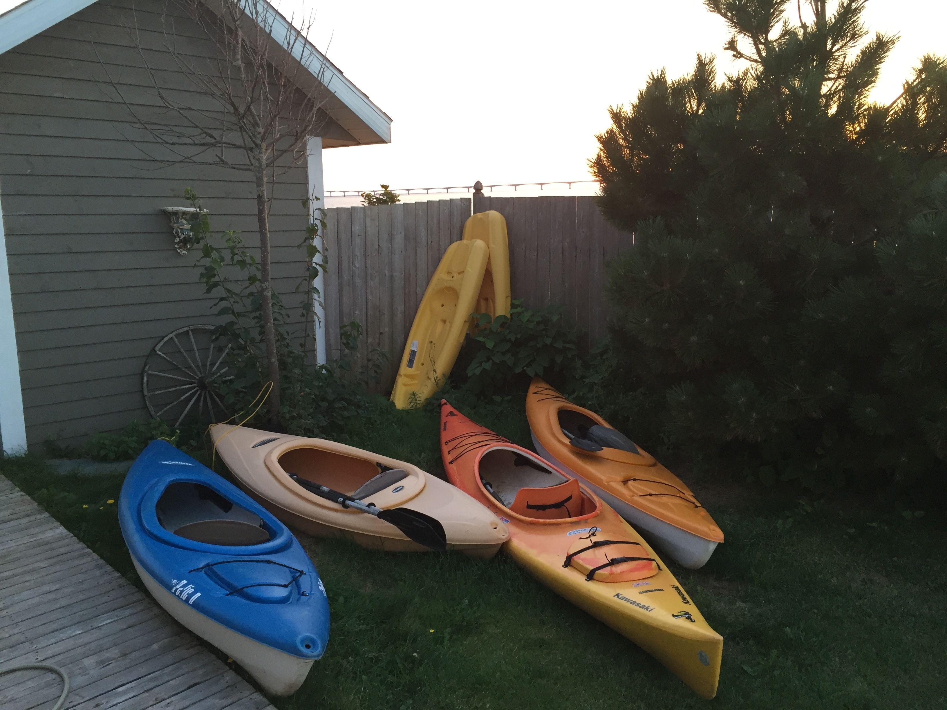 A backyard with four kayaks lined up against a wooden fence.