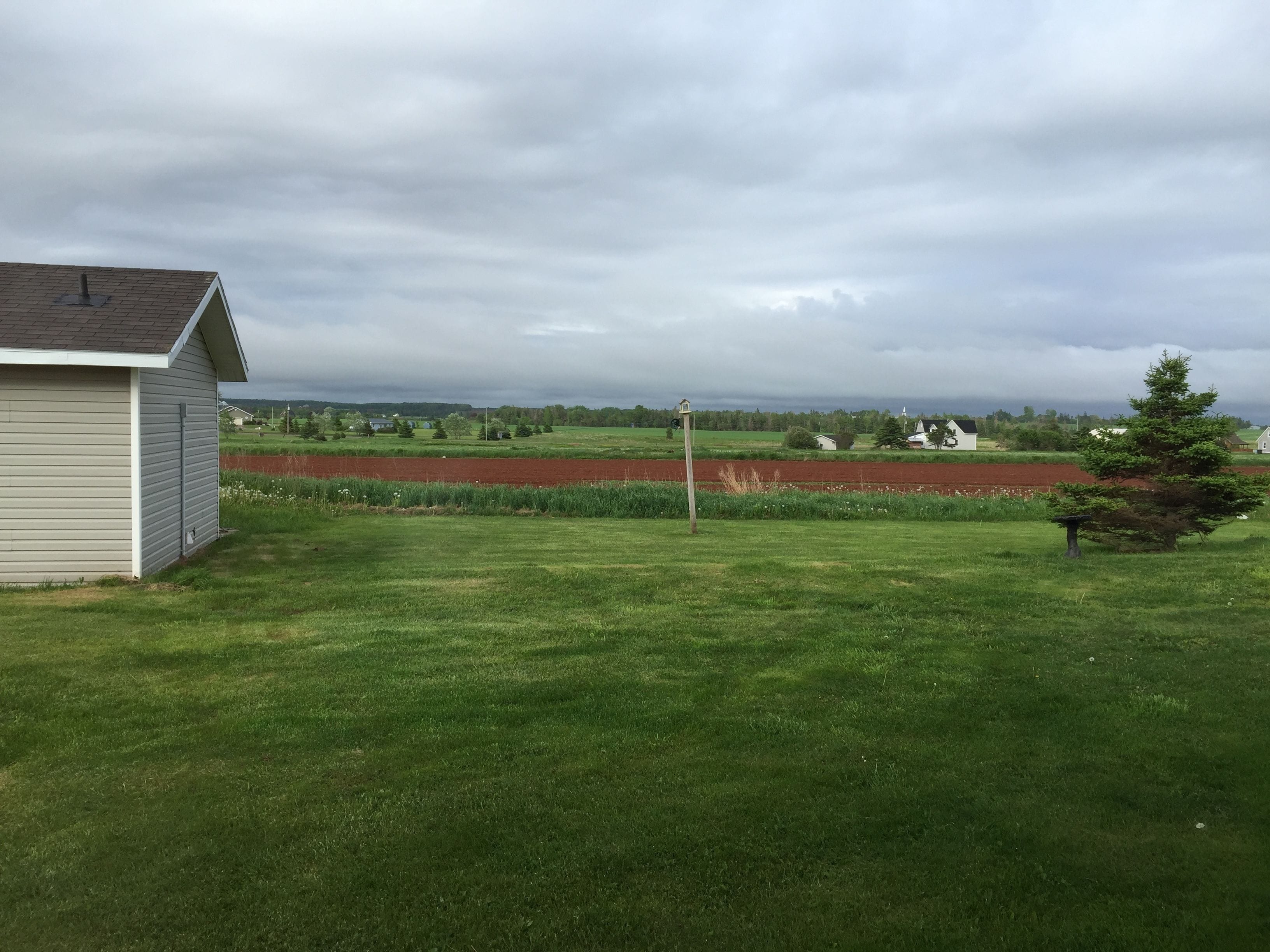 Une propriété résidentielle dotée d’une pelouse bien entretenue, d’un petit abri de jardin et offrant une vue sur un champ rouge et des maisons éloignées, le tout sous un ciel nuageux.