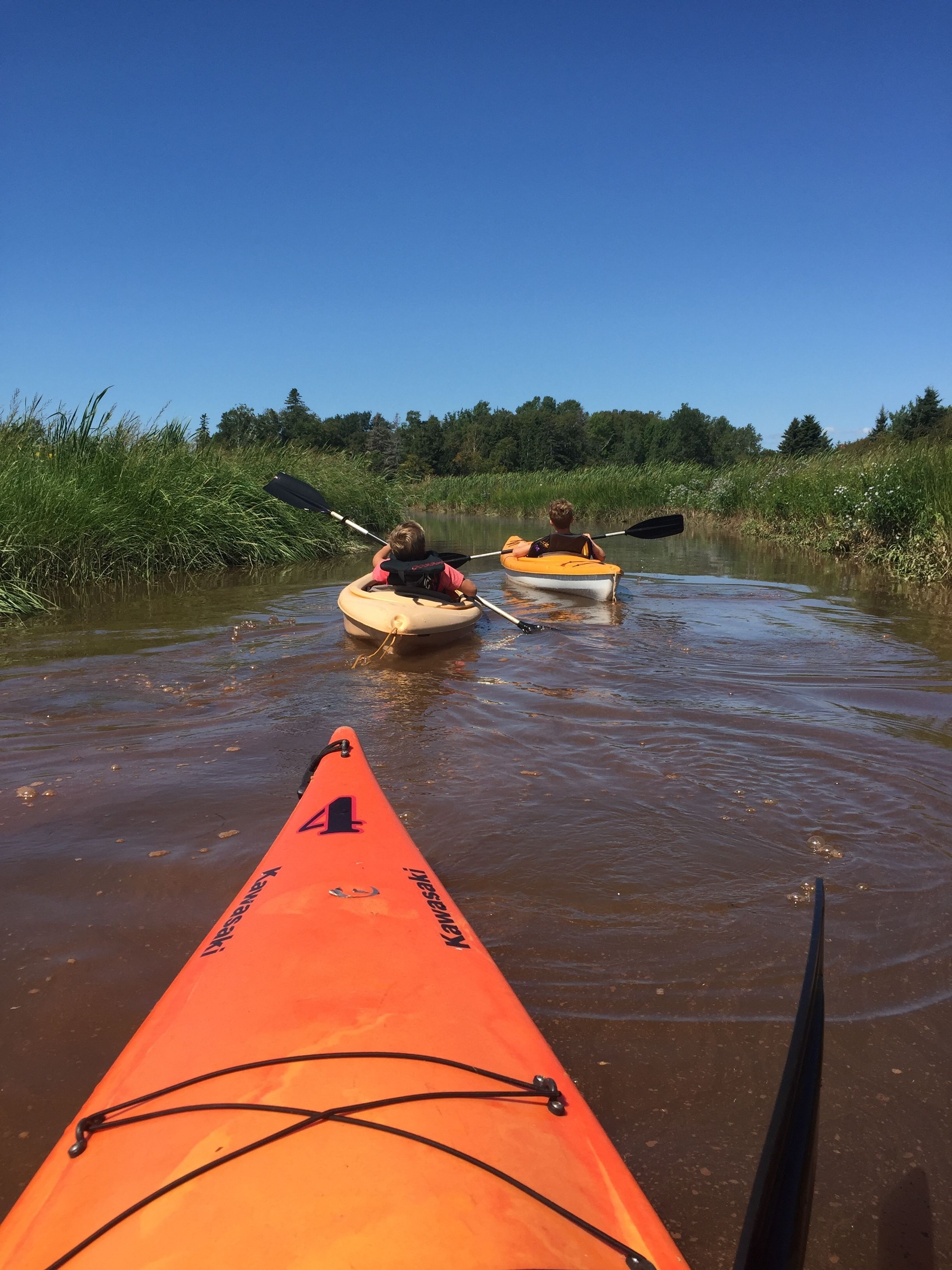 Two kayaks on a calm river with a forested bank.