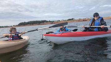 Three people kayaking on a calm body of water with a shoreline in the background.