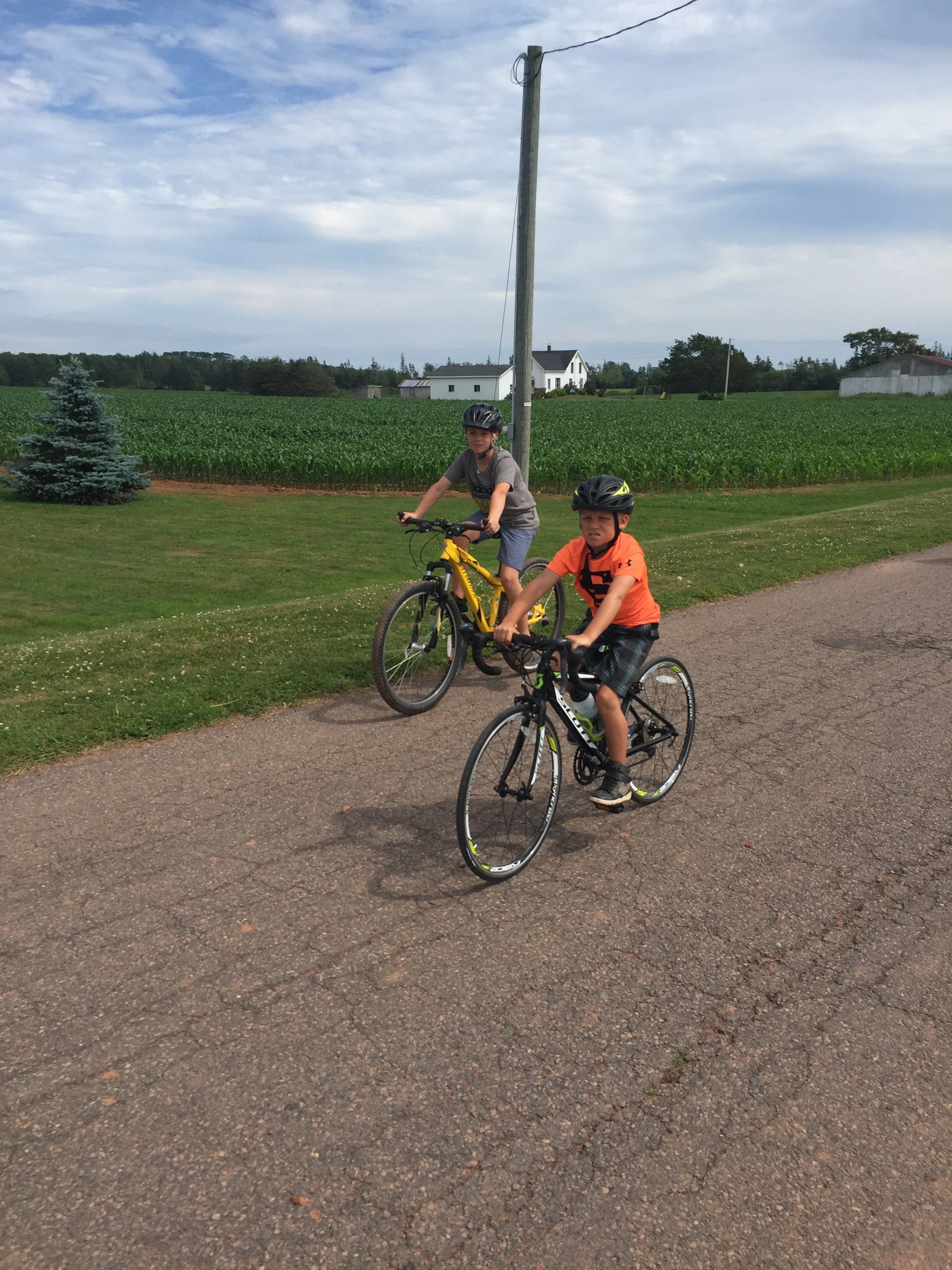 Two people riding bicycles on a rural road with a field and a house in the background.