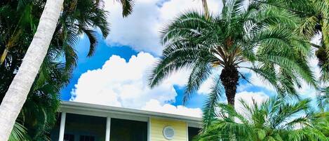 A two-story building with a balcony, surrounded by palm trees and a clear sky.
