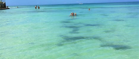 In Strandnähe, weißer Sandstrand, Liegestühle, Sonnenschirme