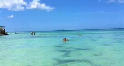 Siesta Palms By the Beach