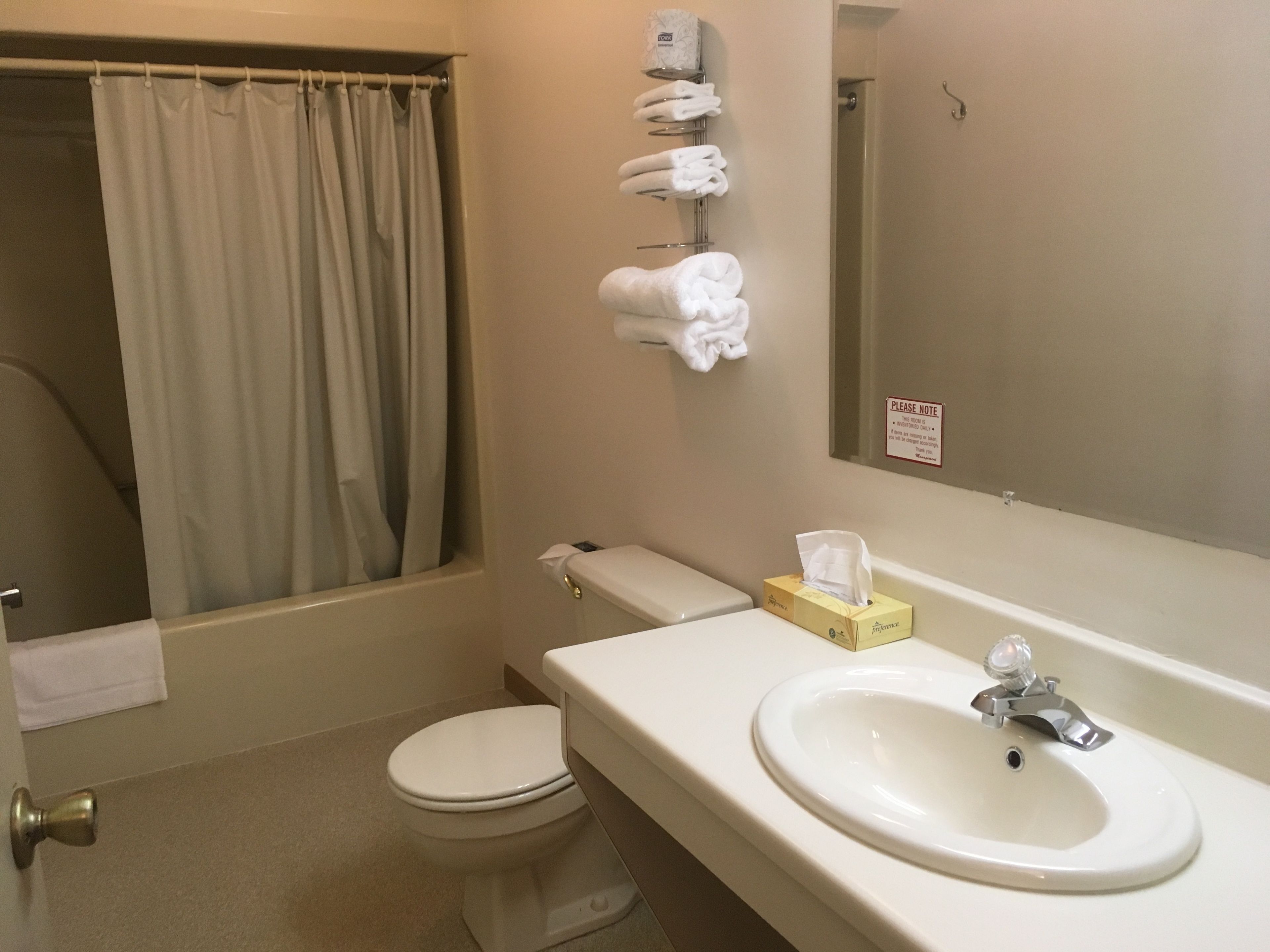 combined shower/bathtub, hair dryer, towels