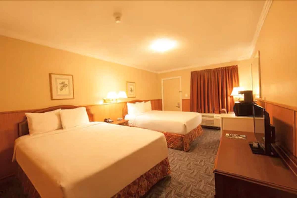 Standard Room, 2 Queen Beds | Desk, iron/ironing board, free WiFi